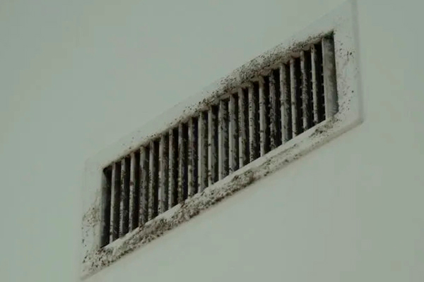 AC Vent full of Molds